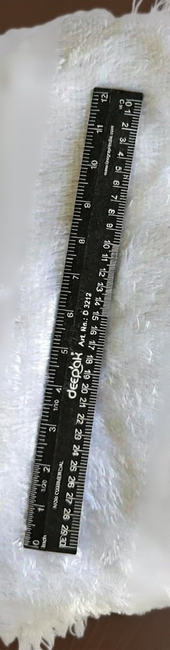 DEEPAK STRAIGHT SCALE 12